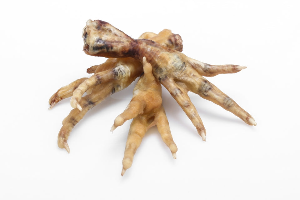 Chicken Feet - BULK image 1
