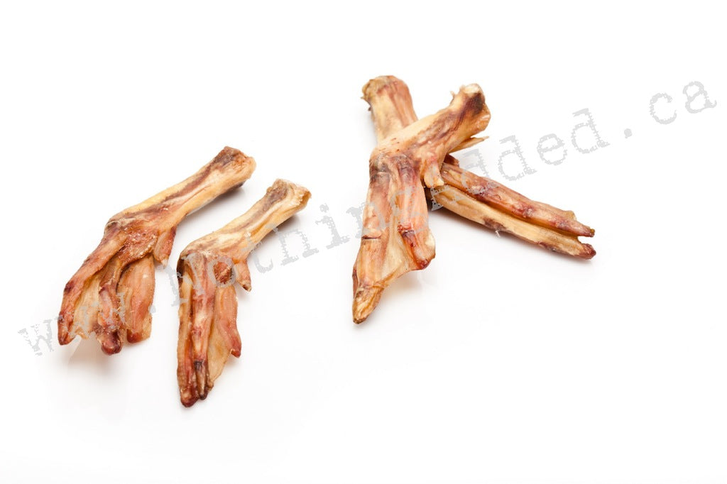 Duck Feet - BULK image 1