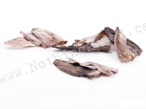 Rabbit Ears Rabbit Ears - BULK