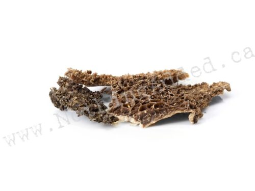 Tripe Green Beef Tripe - BULK