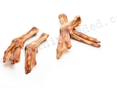 Duck Feet - BULK