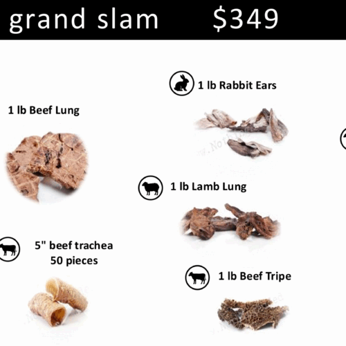 GrandSlam holiday grand slam