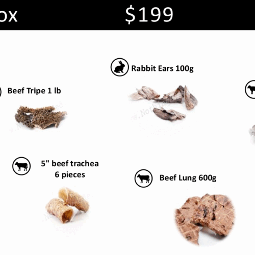 LargeBox the large box